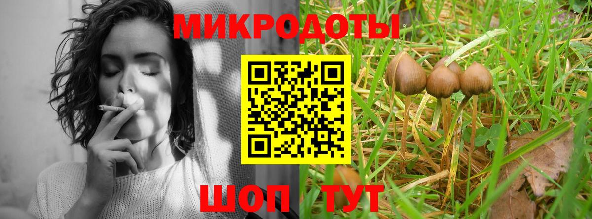 Галлюциногенные грибы Psilocybine cubensis  Вход с VPN  Тосно 
